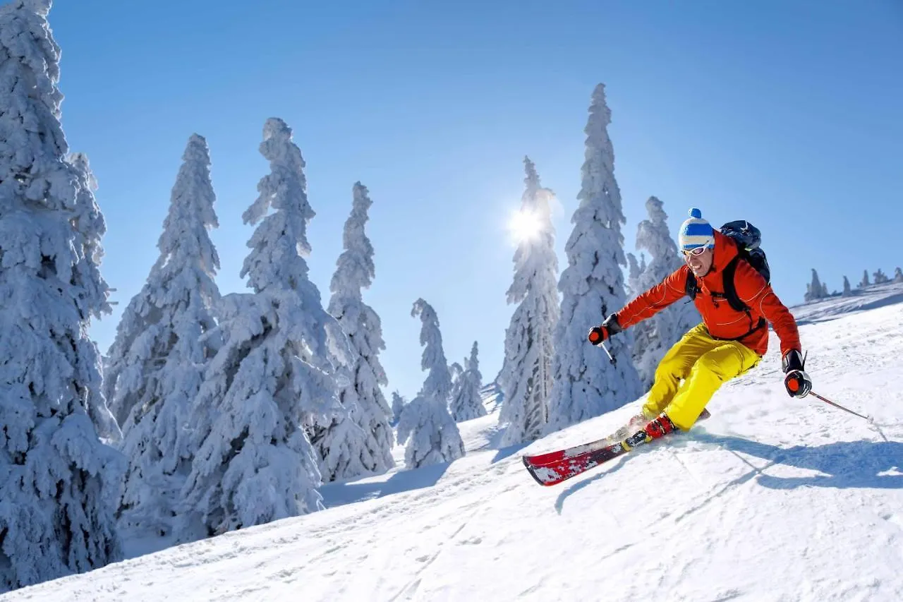 Tyndall Stone Lodge By Cozystay Signature Whistler